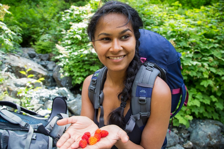 Salmon Berries