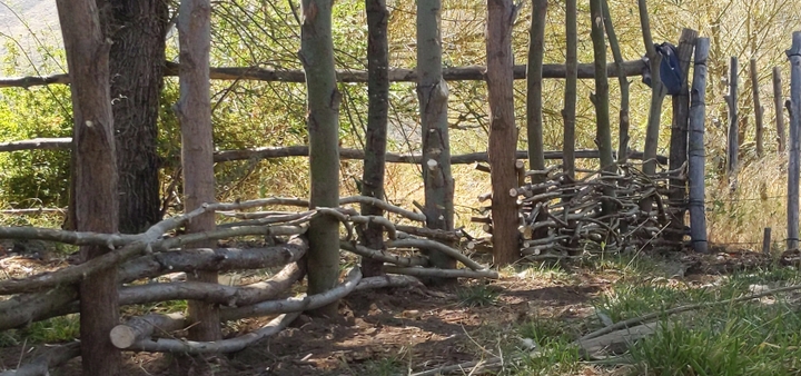 Cool natural building project: a woven fence