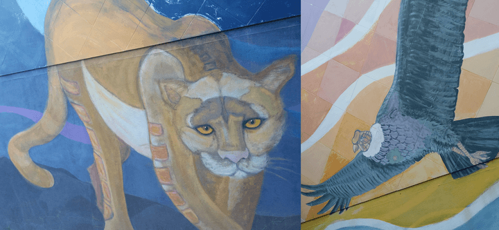 Puma and condor street art